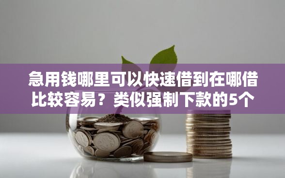 急用钱哪里可以快速借到在哪借比较容易？类似强制下款的5个口子参考