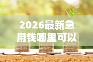 2026最新急用钱哪里可以快速借到，总结十个贷款经理平台！