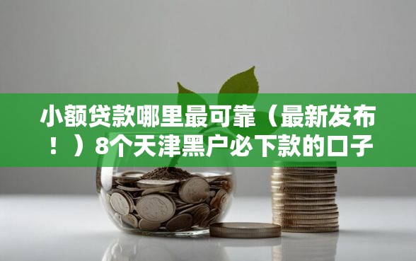 小额贷款哪里最可靠（最新发布！）8个天津黑户必下款的口子
