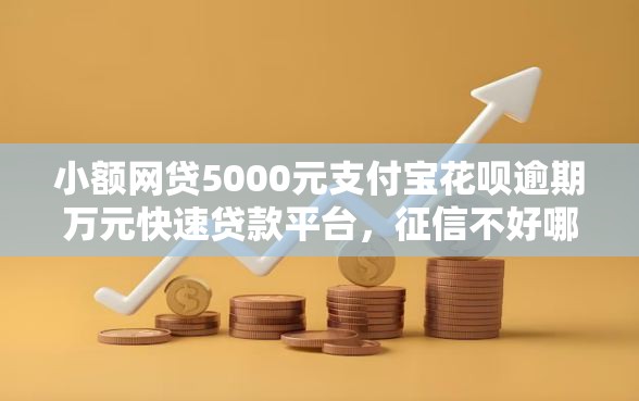 小额网贷5000元支付宝花呗逾期万元快速贷款平台，征信不好哪里可以借钱的7个平台介绍