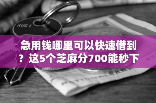 急用钱哪里可以快速借到？这5个芝麻分700能秒下的平台值得一试