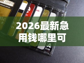 2026最新急用钱哪里可以快速借到，总结十个容易贷款平台！