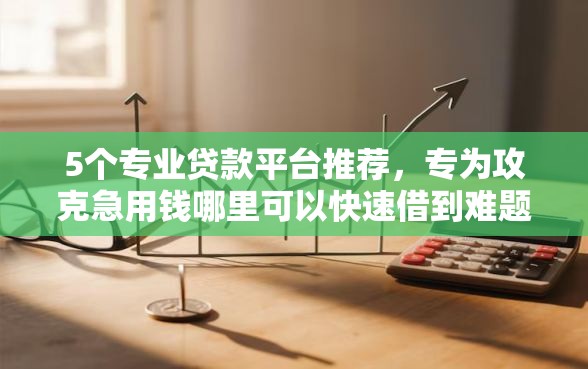 5个专业贷款平台推荐，专为攻克急用钱哪里可以快速借到难题