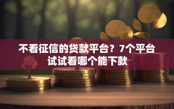 不看征信的贷款平台？7个平台试试看哪个能下款