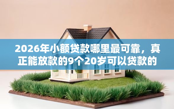 2026年小额贷款哪里最可靠，真正能放款的9个20岁可以贷款的平台推荐