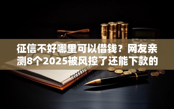 征信不好哪里可以借钱？网友亲测8个2025被风控了还能下款的平台盘点