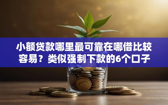 小额贷款哪里最可靠在哪借比较容易？类似强制下款的6个口子参考
