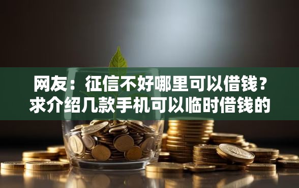 网友：征信不好哪里可以借钱？求介绍几款手机可以临时借钱的软件