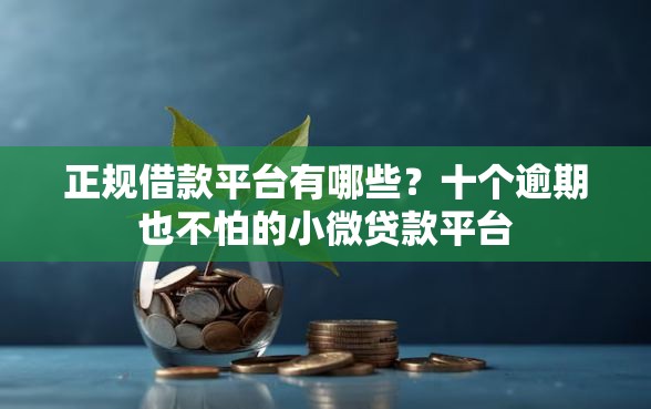 正规借款平台有哪些？十个逾期也不怕的小微贷款平台