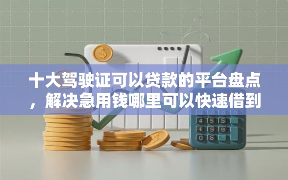 十大驾驶证可以贷款的平台盘点，解决急用钱哪里可以快速借到的问题