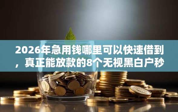 2026年急用钱哪里可以快速借到，真正能放款的8个无视黑白户秒过的网贷口子推荐
