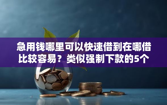 急用钱哪里可以快速借到在哪借比较容易？类似强制下款的5个口子参考