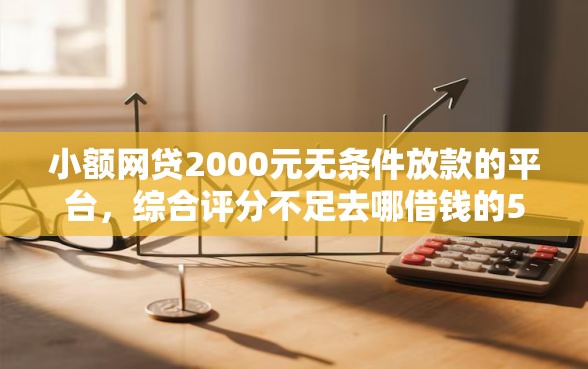 小额网贷2000元无条件放款的平台，综合评分不足去哪借钱的5个平台介绍