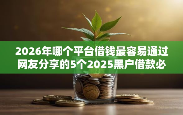 2026年哪个平台借钱最容易通过网友分享的5个2025黑户借款必下大额口子我觉得不错！