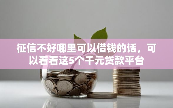 征信不好哪里可以借钱的话，可以看看这5个千元贷款平台