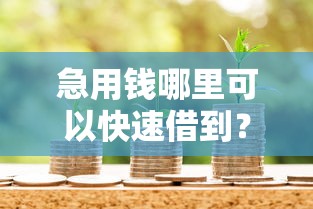 急用钱哪里可以快速借到？2026最新测评10个应急借贷款500秒下平台