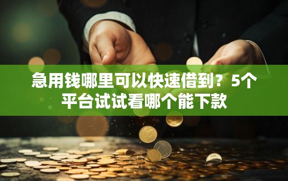 急用钱哪里可以快速借到？5个平台试试看哪个能下款