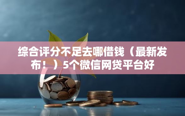 综合评分不足去哪借钱（最新发布！）5个微信网贷平台好