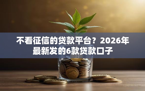 不看征信的贷款平台？2026年最新发的6款贷款口子