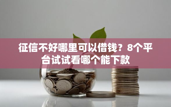 征信不好哪里可以借钱？8个平台试试看哪个能下款