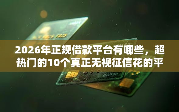 2026年正规借款平台有哪些，超热门的10个真正无视征信花的平台推荐