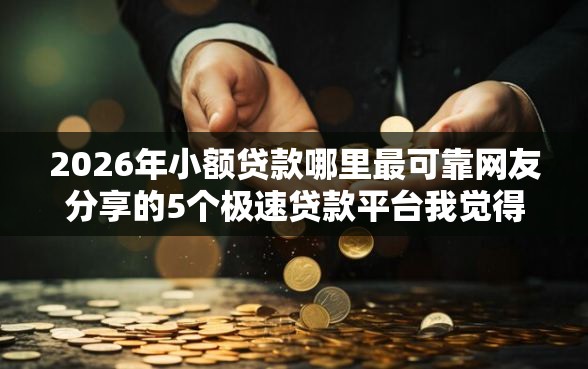 2026年小额贷款哪里最可靠网友分享的5个极速贷款平台我觉得不错！
