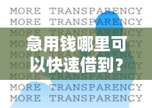 急用钱哪里可以快速借到？2026最新测评10个最新不查征信的口子