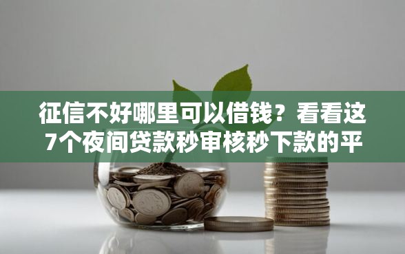 征信不好哪里可以借钱？看看这7个夜间贷款秒审核秒下款的平台怎么样