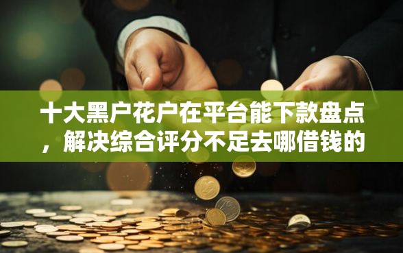 十大黑户花户在平台能下款盘点，解决综合评分不足去哪借钱的问题
