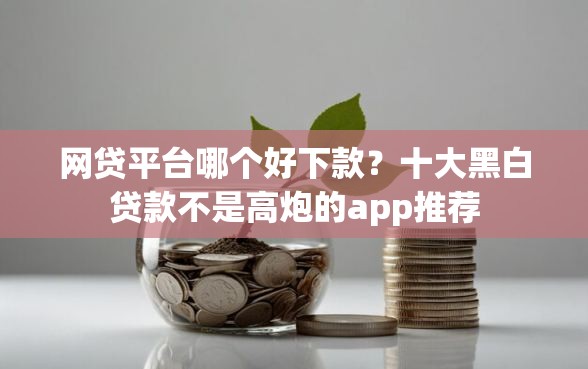 网贷平台哪个好下款？十大黑白贷款不是高炮的app推荐