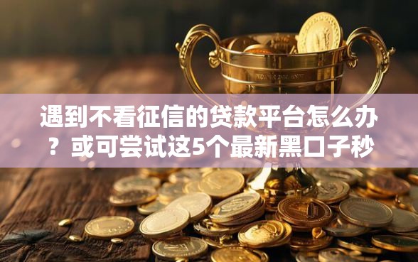遇到不看征信的贷款平台怎么办？或可尝试这5个最新黑口子秒过的
