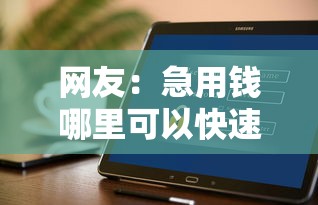 网友：急用钱哪里可以快速借到？求介绍几款不看负债查询的软件