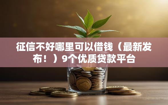 征信不好哪里可以借钱（最新发布！）9个优质贷款平台