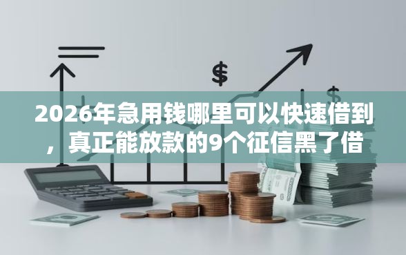 2026年急用钱哪里可以快速借到，真正能放款的9个征信黑了借款平台可以借钱应急推荐