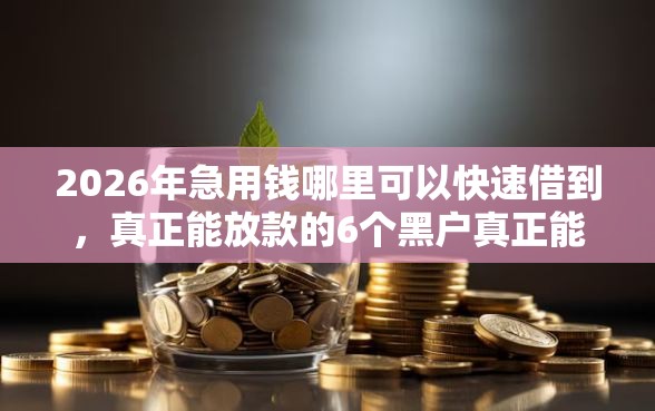 2026年急用钱哪里可以快速借到，真正能放款的6个黑户真正能借到款的口子推荐
