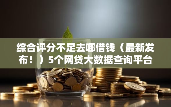 综合评分不足去哪借钱（最新发布！）5个网贷大数据查询平台