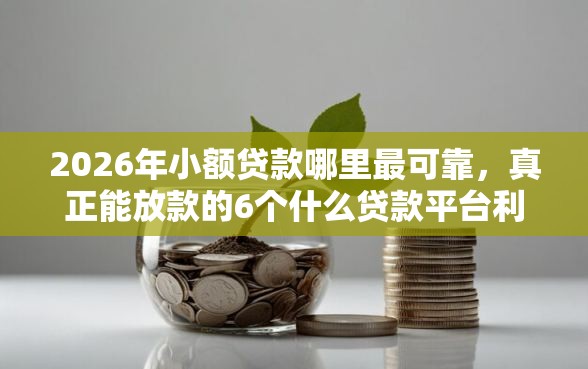2026年小额贷款哪里最可靠，真正能放款的6个什么贷款平台利息低推荐