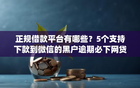 正规借款平台有哪些？5个支持下款到微信的黑户逾期必下网贷app名单