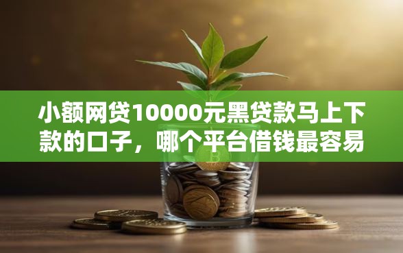 小额网贷10000元黑贷款马上下款的口子，哪个平台借钱最容易通过的8个平台介绍