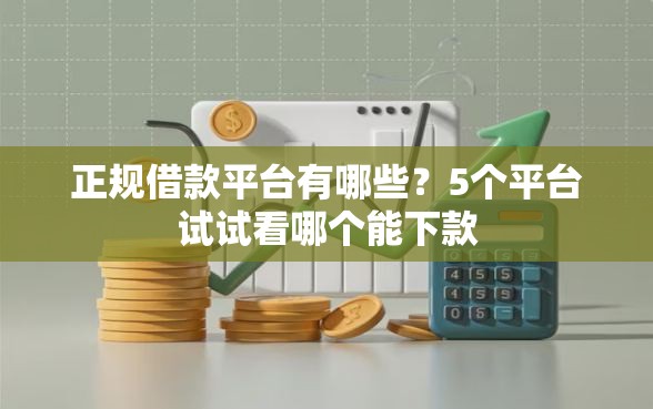 正规借款平台有哪些？5个平台试试看哪个能下款
