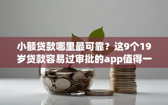 小额贷款哪里最可靠？这9个19岁贷款容易过审批的app值得一试