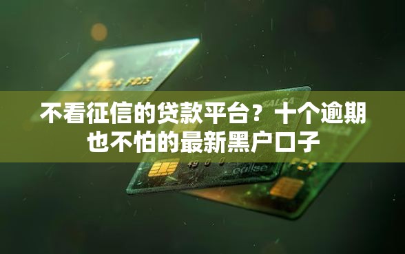 不看征信的贷款平台？十个逾期也不怕的最新黑户口子