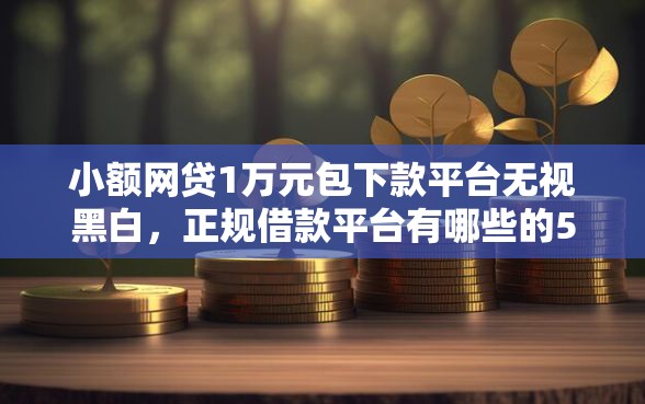 小额网贷1万元包下款平台无视黑白，正规借款平台有哪些的5个平台介绍