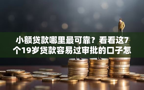 小额贷款哪里最可靠？看看这7个19岁贷款容易过审批的口子怎么样