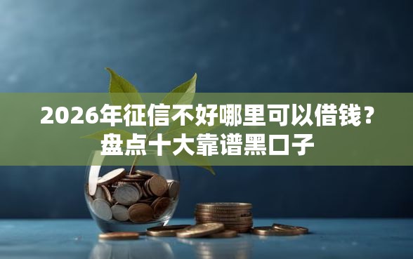 2026年征信不好哪里可以借钱？盘点十大靠谱黑口子