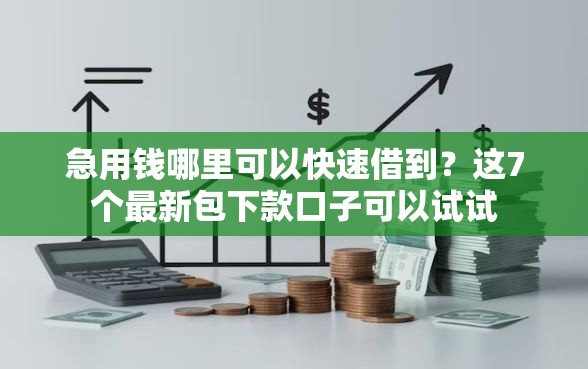 急用钱哪里可以快速借到？这7个最新包下款口子可以试试