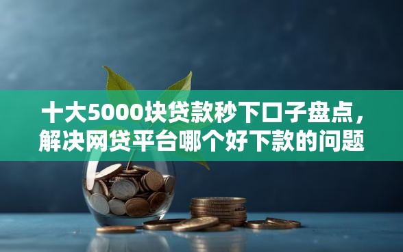 十大5000块贷款秒下口子盘点，解决网贷平台哪个好下款的问题