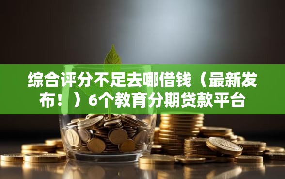 综合评分不足去哪借钱（最新发布！）6个教育分期贷款平台