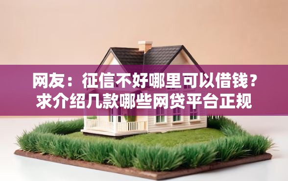 网友：征信不好哪里可以借钱？求介绍几款哪些网贷平台正规