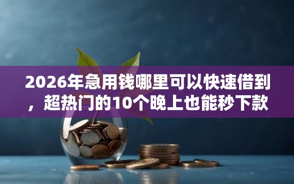 2026年急用钱哪里可以快速借到，超热门的10个晚上也能秒下款的口子推荐